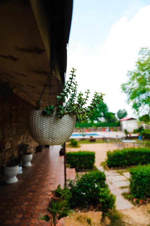 The Rustic Villa, A Stay With Luxuries Amenities And Exotic Nature Jaipur Buitenkant foto